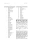 HER2/neu-Specific Antibodies and Methods of Using Same diagram and image