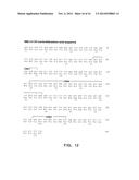 Combination of FcgammaRIIB-Specific Antibodies and CD20-Specific     Antibodies and Methods of Use Thereof diagram and image