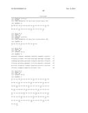 Combination of FcgammaRIIB-Specific Antibodies and CD20-Specific     Antibodies and Methods of Use Thereof diagram and image