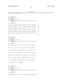 Combination of FcgammaRIIB-Specific Antibodies and CD20-Specific     Antibodies and Methods of Use Thereof diagram and image