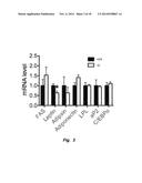 MITIGATION OF DISEASE BY INHIBITION OF GALECTIN-12 diagram and image