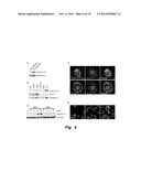 MITIGATION OF DISEASE BY INHIBITION OF GALECTIN-12 diagram and image