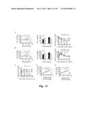 MITIGATION OF DISEASE BY INHIBITION OF GALECTIN-12 diagram and image