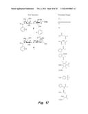 MITIGATION OF DISEASE BY INHIBITION OF GALECTIN-12 diagram and image