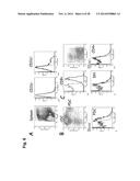 Immune Modulation Via C-Type Lectin diagram and image