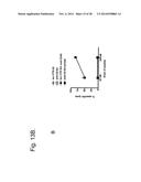 Immune Modulation Via C-Type Lectin diagram and image