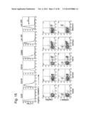 Immune Modulation Via C-Type Lectin diagram and image