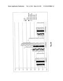 Immune Modulation Via C-Type Lectin diagram and image