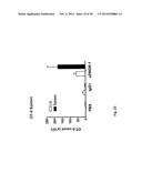 Immune Modulation Via C-Type Lectin diagram and image