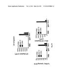 Immune Modulation Via C-Type Lectin diagram and image