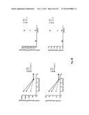 Immune Modulation Via C-Type Lectin diagram and image