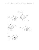 METHODS OF TREATING A SUBJECT AND RELATED PARTICLES, POLYMERS AND     COMPOSITIONS diagram and image