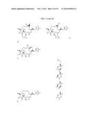 METHODS OF TREATING A SUBJECT AND RELATED PARTICLES, POLYMERS AND     COMPOSITIONS diagram and image