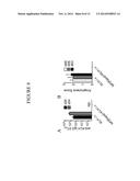 DOSING COMBINATIONS FOR REDUCING UNDESIRED HUMORAL IMMUNE RESPONSES diagram and image