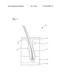 TOPICAL COMPOSITIONS diagram and image