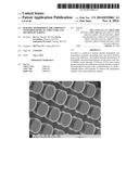 Durable Hydrophilic Dry Adhesives with Hierarchical Structure and Method     of Making diagram and image