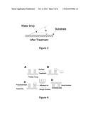 Durable Hydrophilic Dry Adhesives with Hierarchical Structure and Method     of Making diagram and image