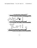 NON-NATURAL NUCLEOSIDES AS THERANOSTIC AGENTS diagram and image