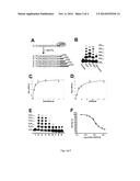 NON-NATURAL NUCLEOSIDES AS THERANOSTIC AGENTS diagram and image