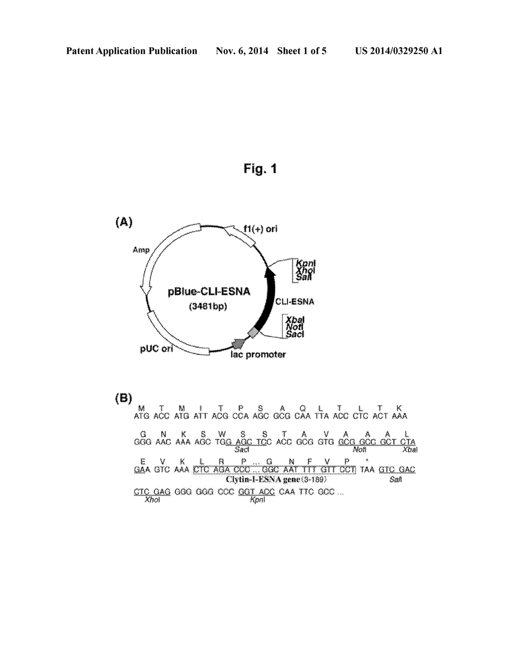 CALCIUM-BINDING PHOTOPROTEIN - diagram, schematic, and image 02