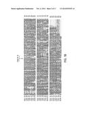 METHODS OF SCREENING T1R1/T1R3 RECEPTORS FOR COMPOUNDS THAT MODULATE UMAMI     TASTE SIGNALING diagram and image