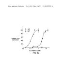 METHODS OF SCREENING T1R1/T1R3 RECEPTORS FOR COMPOUNDS THAT MODULATE UMAMI     TASTE SIGNALING diagram and image