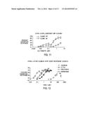 METHODS OF SCREENING T1R1/T1R3 RECEPTORS FOR COMPOUNDS THAT MODULATE UMAMI     TASTE SIGNALING diagram and image