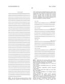 METHODS OF SCREENING T1R1/T1R3 RECEPTORS FOR COMPOUNDS THAT MODULATE UMAMI     TASTE SIGNALING diagram and image