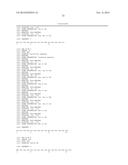 METHODS OF SCREENING T1R1/T1R3 RECEPTORS FOR COMPOUNDS THAT MODULATE UMAMI     TASTE SIGNALING diagram and image