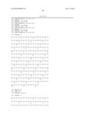 METHODS OF SCREENING T1R1/T1R3 RECEPTORS FOR COMPOUNDS THAT MODULATE UMAMI     TASTE SIGNALING diagram and image