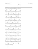 METHODS OF SCREENING T1R1/T1R3 RECEPTORS FOR COMPOUNDS THAT MODULATE UMAMI     TASTE SIGNALING diagram and image