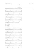 METHODS OF SCREENING T1R1/T1R3 RECEPTORS FOR COMPOUNDS THAT MODULATE UMAMI     TASTE SIGNALING diagram and image