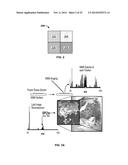 METABOLIC FLUX MEASUREMENT, IMAGING AND MICROSCOPY diagram and image