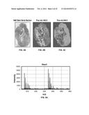 METABOLIC FLUX MEASUREMENT, IMAGING AND MICROSCOPY diagram and image