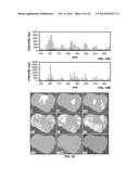 METABOLIC FLUX MEASUREMENT, IMAGING AND MICROSCOPY diagram and image