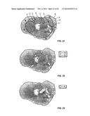 METABOLIC FLUX MEASUREMENT, IMAGING AND MICROSCOPY diagram and image