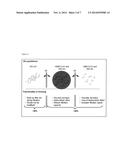 ENZYMES diagram and image