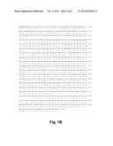 Chimeric Polypeptides Having Beta-Glucosidase Activity and Polynucleotides     Encoding Same diagram and image