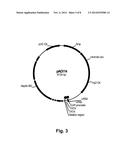 Chimeric Polypeptides Having Beta-Glucosidase Activity and Polynucleotides     Encoding Same diagram and image