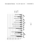 COMPOSITIONS AND METHODS FOR LIPID PRODUCTION diagram and image