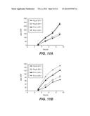 Ribosomal Promoters for Production in Microorganisms diagram and image