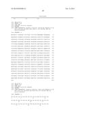 Ribosomal Promoters for Production in Microorganisms diagram and image