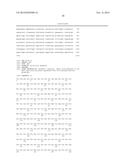 Ribosomal Promoters for Production in Microorganisms diagram and image