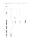 EXPRESSION IN INSECT CELLS OF GENES WITH OVERLAPPING OPEN READING FRAMES,     METHODS AND COMPOSITIONS THEREFOR diagram and image