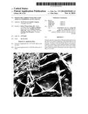 DISSOLVABLE FIBROUS WEB STRUCTURE ARTICLE COMPRISING ACTIVE AGENTS diagram and image