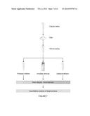 SALIVA COLLECTION, PROCESSING, STABILIZATION, AND STORAGE METHOD diagram and image