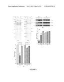 SALIVA COLLECTION, PROCESSING, STABILIZATION, AND STORAGE METHOD diagram and image