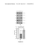 SALIVA COLLECTION, PROCESSING, STABILIZATION, AND STORAGE METHOD diagram and image