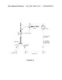 SALIVA COLLECTION, PROCESSING, STABILIZATION, AND STORAGE METHOD diagram and image