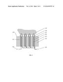 NANOSCALE COAXIAL ELECTRODE ARRAYS AND METHODS THEREOF diagram and image